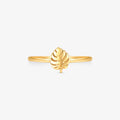Anel Costela de Adão em Ouro Amarelo 18K