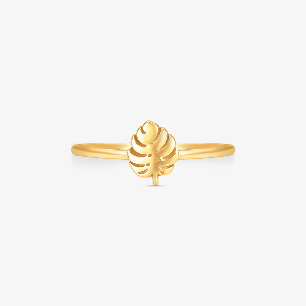 Anel Costela de Adão em Ouro Amarelo 18K