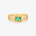 Anel Masculino Pura em Ouro Amarelo 18K