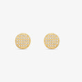 Brinco Chuveiro com Pedras em Ouro Amarelo 18K